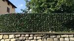 Siepe Artificiale Divy 30 Plus Photinia 1,5x3 M Tenax Decoro Casa Giardino