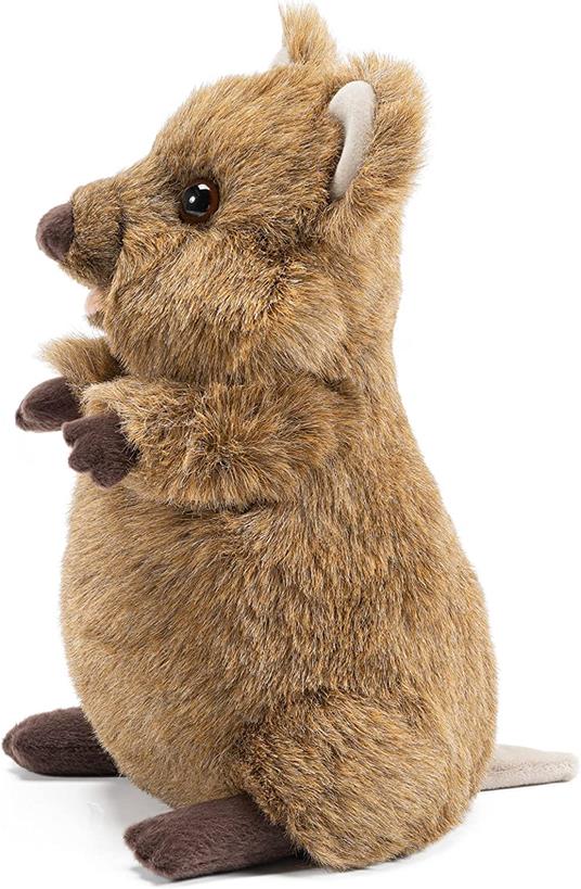 Quokka Arturo M - 2