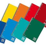 Quaderno spiralato One Color 4×4 A4 80 g/m2 – 120+4 ff con 4 fori – 5 mm/1R