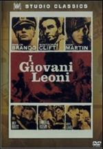 I giovani leoni