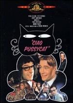 Ciao Pussycat