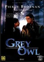 Grey Owl. Gufo Grigio