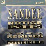 Notice Me (1994 Remixes)