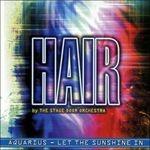 Hair - CD Audio di Stage Door Orchestra