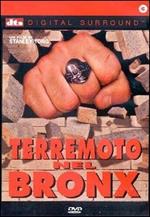 Terremoto nel Bronx