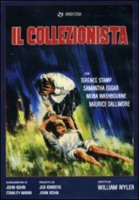 Il collezionista di William Wyler - DVD