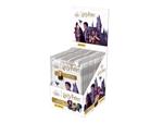 Harry Potter Metal Minicards Panini