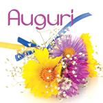 Auguri