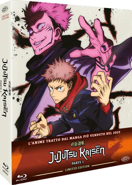 Jujutsu Kaisen - Limited Edition Box-Set #01 (Eps.01-13) (3 Blu-Ray) di Sung Hoo Park - Blu-ray