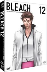 Bleach - Arc 12: The Battle Of Karakura (Eps.213-229) (3 Dvd) (First Press)