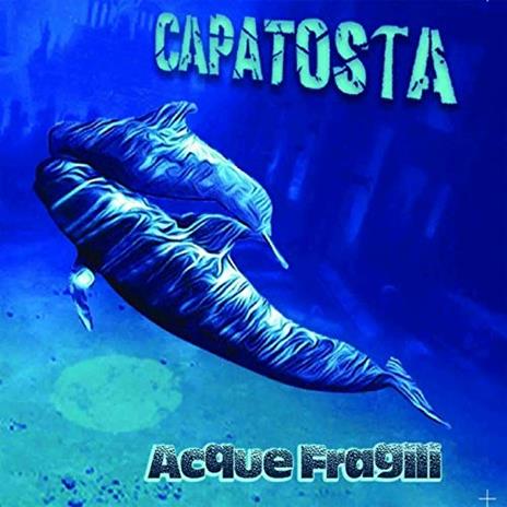 Acque fragili - CD Audio di Capatosta