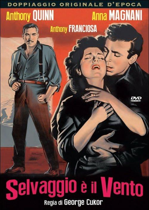 Selvaggio è il vento di George Cukor - DVD