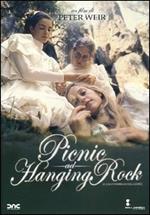 Picnic ad Hanging Rock (DVD)