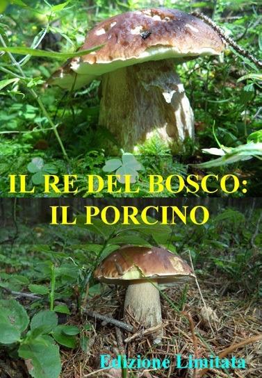 Il re del bosco: il Porcino (DVD) di P. Maffeis - DVD