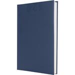 Agenda Giornaliera Intempo 21X30 Delta In Papercoat Blu 2024