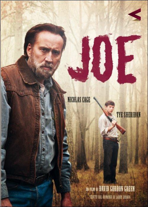 Joe di David Gordon Green - DVD