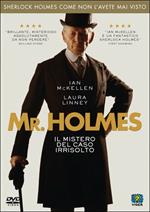 Mr. Holmes. Il mistero del caso irrisolto