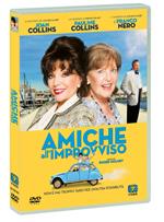 Amiche all'improvviso (DVD)