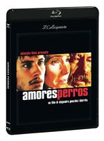 Amores Perros (DVD + Blu-ray)