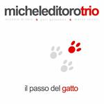 Il passo del gatto