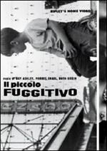 Il piccolo fuggitivo (2 DVD)