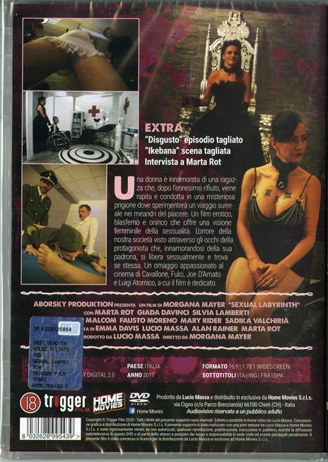 Sexual Labyrinth (DVD) di Morgana Mayer - DVD - 2