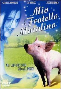 Mio fratello maialino (DVD) di Erik Fleming - DVD