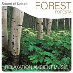 Sound of Nature. Forest