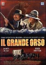 Il grande orso (DVD)