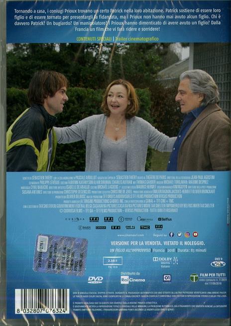 Un figlio all'improvviso (DVD) di Vincent Lobelle,Sébastien Thiery - DVD - 2