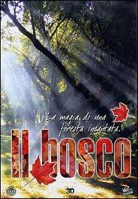 Il bosco - DVD