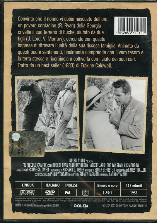 Il piccolo campo di Anthony Mann - DVD - 2