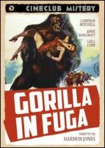 Gorilla in fuga