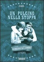 Un pulcino nella stoppa