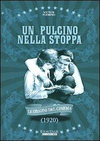 Un pulcino nella stoppa di Victor Fleming - DVD