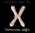 Cromosoma alfa