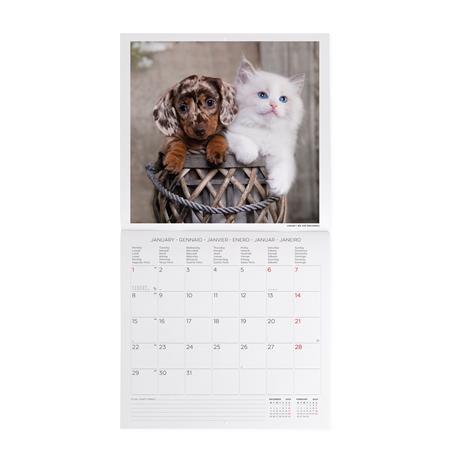 Calendario 2024, da parete, 30 x 29 cm BEST FRIENDS - 2