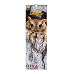 Calendario 2024, da parete, 16 x 49 cm OUTSTANDING OWLS