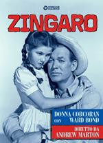 Zingaro (DVD)