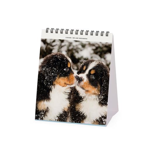 Cani Che Cagano Calendario 2024: Organizzatore per tenere traccia delle  date, 16 mesi : lari, Lauesa: : Libros