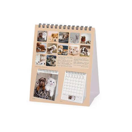 Calendario 2024, da tavolo, 12 x 14, 5 cm BEST FRIENDS - 4