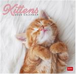 Calendario da Muro 2025 Legami - Kittens - 30 x 29