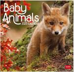 Calendario da Muro 2025 Legami - Baby Animals - 30 x 29