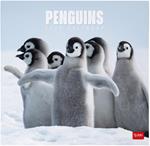 Calendario da Muro 2025 Legami - Penguins- 30 x 29