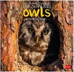 Calendario da Muro 2025 Legami - Outstanding Owls - 30 x 29