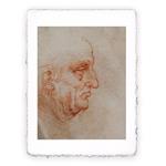 Stampa di Leonardo da Vinci Uomo a mezzo busto di profilo, Miniartprint - cm 17x11