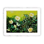 Stampa d''arte di Vincent van Gogh - Rose selvatiche - 1890, Original - cm 30x40