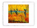 Stampa d''arte di Vincent van Gogh Salici al tramonto - 1888, Miniartprint - cm 17x11