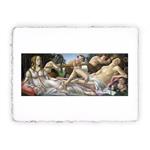 Stampa d''arte di Sandro Botticelli - Venere e Marte - 1483, Miniartprint - cm 17x11