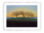 Stampa di Caspar David Friedrich Colline e campi a Dresda, Original - cm 30x40